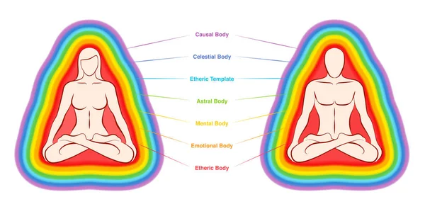 Carta de capas de Aura. Los siete cuerpos coloreados y etiquetados de una pareja de yoga meditante. Capa etérica, emocional, mental, astral, celestial y causal. Ilustración vectorial sobre fondo blanco . — Vector de stock