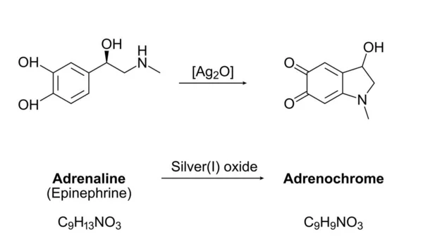 Syntéza Adrenochromu Chemická Rovnice Oxidace Adrenalinu Adrenalinu Oxidem Stříbrným Molekuly — Stockový vektor