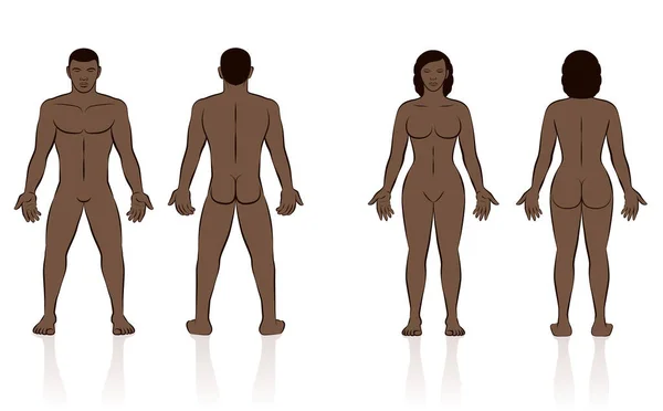 Mänsklig Kropp Naken Svart Man Och Kvinna Fram Och Baksida — Stock vektor