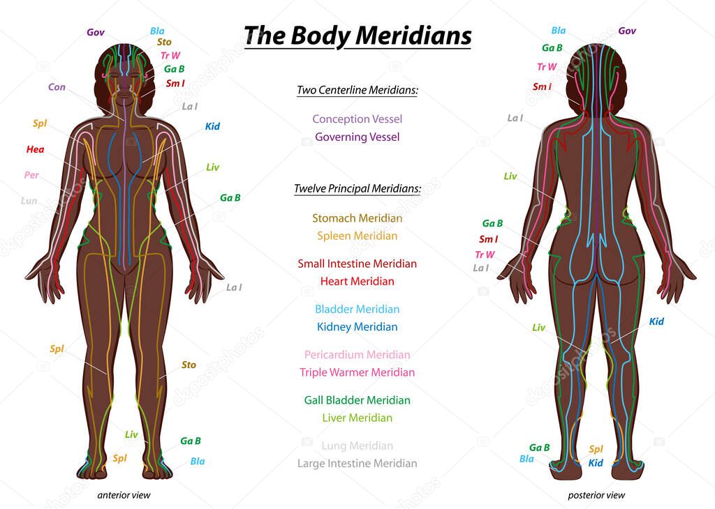 MERIDIAN SYSTEM CHART, black woman, female body with labelled meridians - anterior and posterior view - Traditional Chinese Medicine.