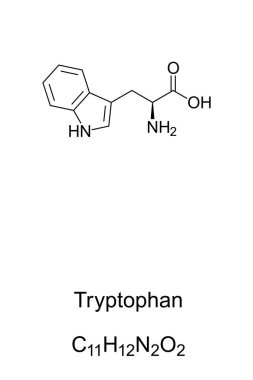 Tryptophan, iskelet formülü ve yapısı. L-Tryptophan, proteinlerin biyosentezinde kullanılan temel amino asit. Serotonin ve melatoninin öncüsü. Yapısal formül. İllüzyon. Vektör.