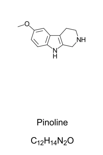 Pinolin Kosterní Vzorec Molekulární Struktura Metoxylovaný Tryptolin Který Údajně Produkován — Stockový vektor