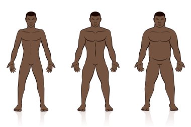 Vücut tipleri. Zayıf, normal ve şişman bir zenci. Az kilolu, normal kilolu ve aşırı kilolu erkek vücudu. Farklı anatomisi olan üç adamın komik vektör çizimi.