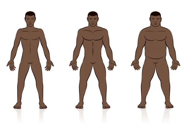 Lichaamstypes Slanke Normale Dikke Zwarte Man Ondergewicht Normaal Gewicht Overgewicht — Stockvector