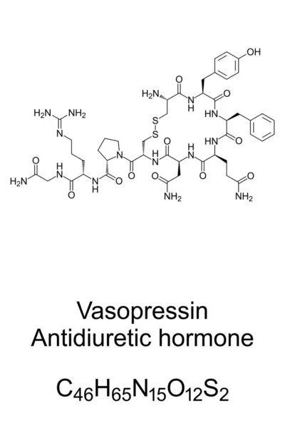 Vasopressiini Kemiallinen Rakenne Antidiureettinen Hormoni Adh Arginiini Vasopressiini Avp Tai — vektorikuva