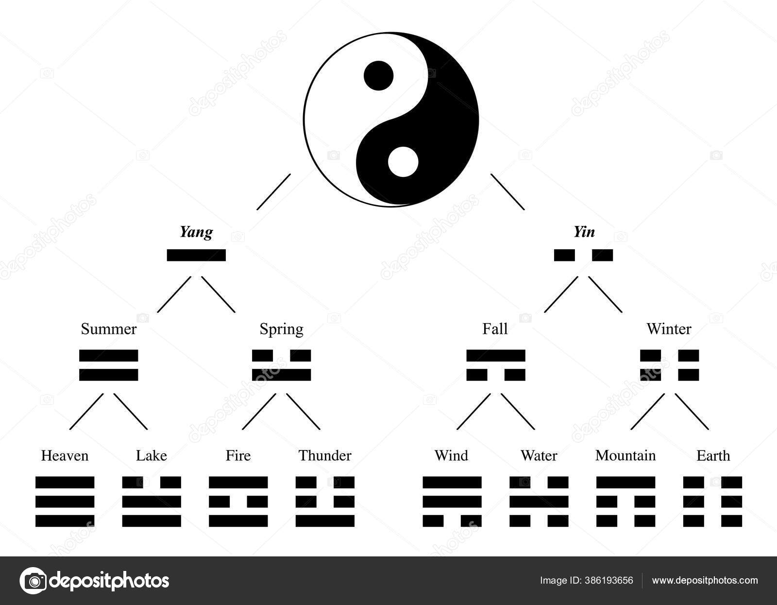 Trigramas Yin Yang Gráfico Desenvolvimento Combinação Com Nomes Significados  Espirituais Vetor de ©Furian 386193656, image size:1600x1245