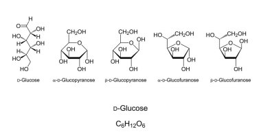 Glikoz, monosakkarit, kimyasal yapı. Sade şeker. Açık-zincir D-Glikoz 'un Natta yansıması. Pyranose ve furanose halkalarıyla dört döngüsel izomerin Haworth projeksiyonları. İllüzyon. Vektör.