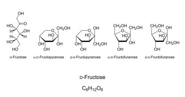 Früktoz, meyve şekeri, monosakkarit, kimyasal yapı. Sade şeker. Açık zincir D-Fructose 'un Natta yansıması. Pyranose ve furanose halkalarıyla dört döngüsel izomerden oluşan Haworth projeksiyonu. Vektör.