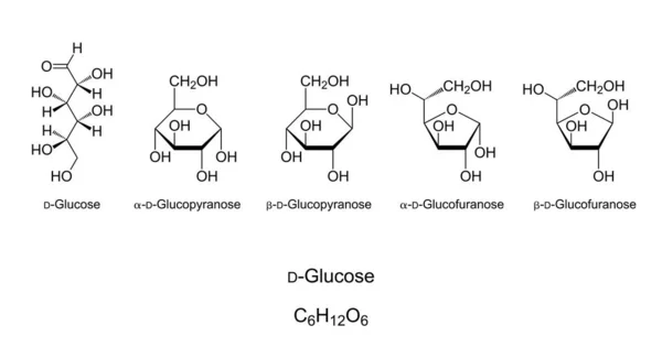 Glukóza Monosacharid Chemická Struktura Jednoduchý Cukr Natta Projekce Glukosy Otevřeným — Stockový vektor