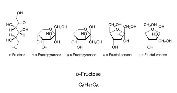 Fructose Fruitsuiker Monosaccharide Chemische Structuur Simpele Suiker Natta Projectie Van — Stockvector