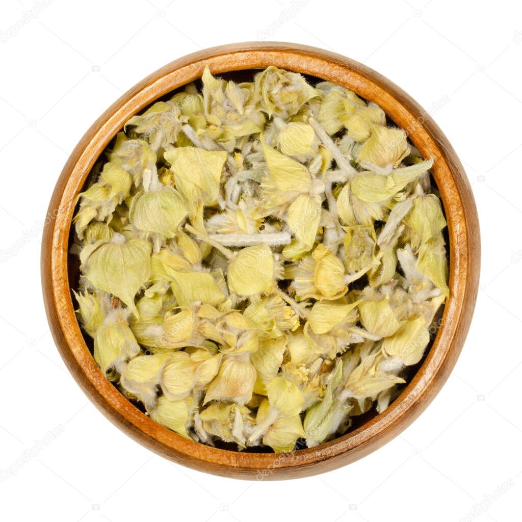 Greek mountain tea in wooden bowl. Also known as ironwort, Sideritis or shepherds tea. Dried flowering plants used as herbal medicine and tea.Closeup from above, over white, isolated macro food photo.