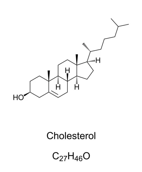 Cholesterol Struktura Chemiczna Formuła Zmodyfikowany Steryd Rodzaj Lipidów Główny Sterol — Wektor stockowy