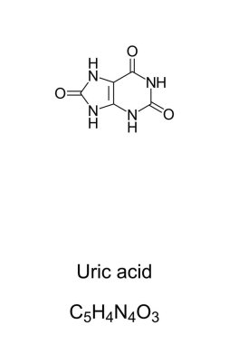 Uric acid chemical structure and formula. Product of metabolic breakdown of purine nucleotides. Normal component of urine. High blood concentrations of uric acid can lead to gout. Illustration. Vector clipart