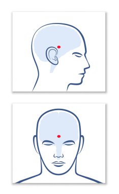 PINEAL GLAND or THIRD EYE. Lateral and frontal view with position in the human brain. Isolated vector graphic illustration on white background. clipart