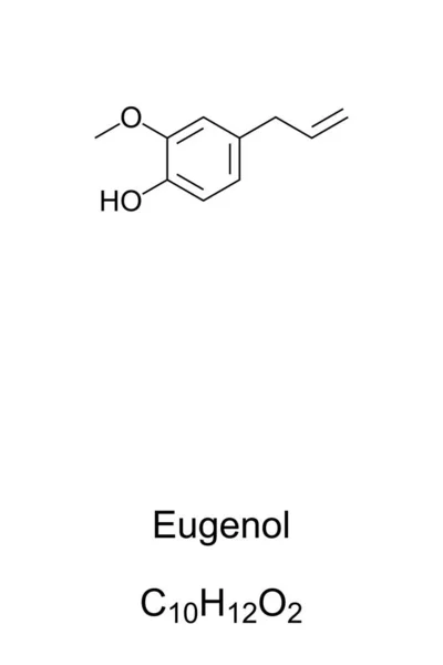 Eugenol Estructura Química Fórmula Olor Clavo Extrae Principalmente Del Aceite — Archivo Imágenes Vectoriales