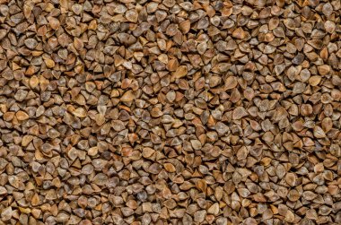 Kabuklu karabuğday tohumları, yakın plan. Glütensiz psödocereal, tahıl benzeri tohumlarla kaplama mahsulü olarak kullanılıyor. Fagopyrum esculentum. Yemek fotoğrafı, yakın çekim, üst manzara, yukarıdan. Arkaplan.