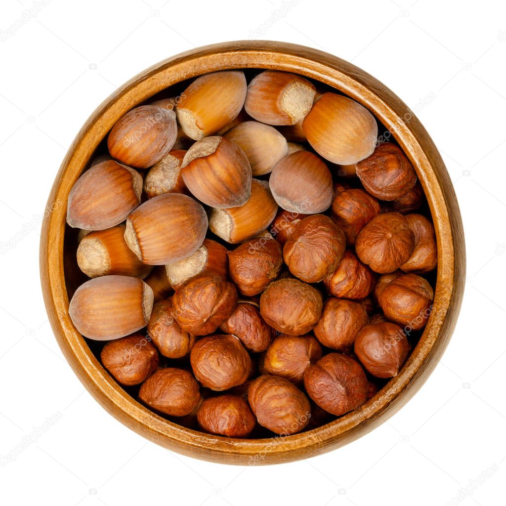 Shelled and unshelled hazelnuts in a wooden bowl. Seeds of Corylus avellana, a species native in Europe. Edible raw fruits in their shells. Close-up, from above, over white, isolated macro food photo.