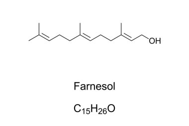 Farnesol, kimyasal yapı. Citronella, neroli, gül ve limon otu gibi birçok önemli yağda mevcuttur. Çiçeklerin güzel kokularını vurgulamak için parfümeride kullanılır. İllüzyon. Vektör.