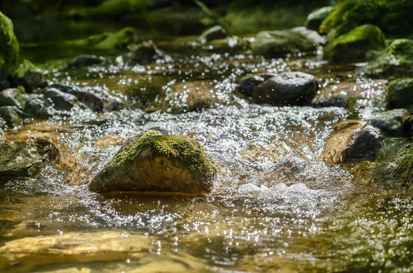 Pierre Mousseuse Dans Ruisseau Montagne Une Pierre Dans Lit Ruisseau — Photo