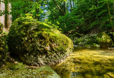 Güneş ışığında büyük bir kaya, yeşil yosunlarla kaplanmış, doğal bir ormanın deresinde. Güneşli bir yaz gününde dere yatağının kenarında büyük bir taş. Doğa manzarası. Fotoğraf..