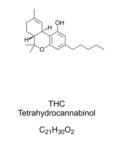 Thc Tetrahydrocannabinol Kemisk Struktur Dronabinol Isomer Thc Vigtigste Mest Aktive – Stock-vektor