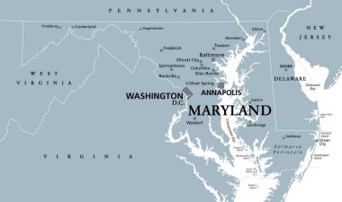 Maryland, MD, gri politik harita. Amerika Birleşik Devletleri 'nin Orta Atlantik bölgesinde. Başkent Annapolis. Old Line State 'de. Özgür Devlet. Küçük Amerika. Minyatür Amerika. İllüzyon. Vektör.