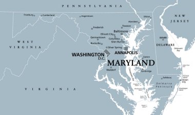 Maryland, MD, gray political map. State in Mid-Atlantic region of United States of America. Capital Annapolis. Old Line State. Free State. Little America. America in Miniature. Illustration. Vector. clipart