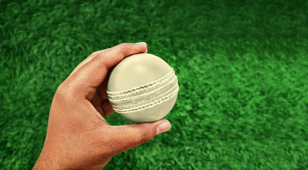 Cricket Ball In Hand, White Cricket Sport Ball