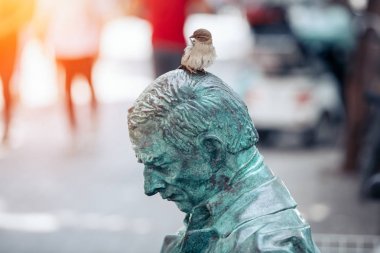 Eskişehir 'de okuyucu heykelinin başında duran serçe