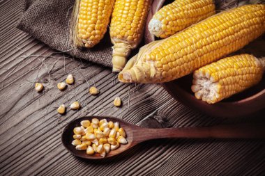 taze organik tatlı mısır