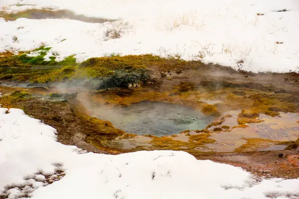 Un petit Geysir avec de l'eau chaude dans cette zone géothermique enneigée — Photo