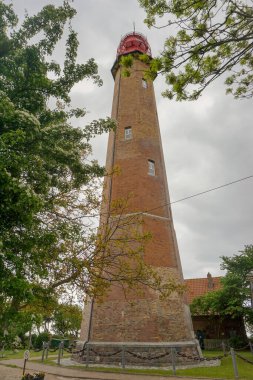 Fehmarn Adası 'ndaki Deniz Feneri. Ön planda bitkiler var.