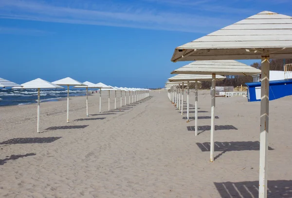 Empty beach at sunny spring day on Baltic sea — Stock Photo, Image