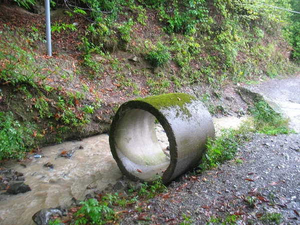 Túlnőtt betongyűrű a hegyi folyón — Stock Fotó