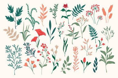El çizimi çiçek nesneleri hazır. İzole edilmiş botanik tasarım elemanları paketi. Yeşil bitkiler, kır çiçekleri ve bitki taşıyıcı illüstrasyon. Noel tebrik kartları ve kış tatili tipografisi için mükemmel.