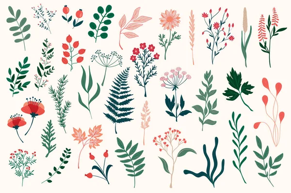 Bündel Von Farbenfrohen Floralen Dekorativen Elementen Botanische Objekte Florale Grafische — Stockvektor