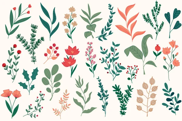 Квіткові Прикраси Встановлюються Різдвяні Листівки Ботанічна Кліпа Ізольована Колекція Рослини — стоковий вектор