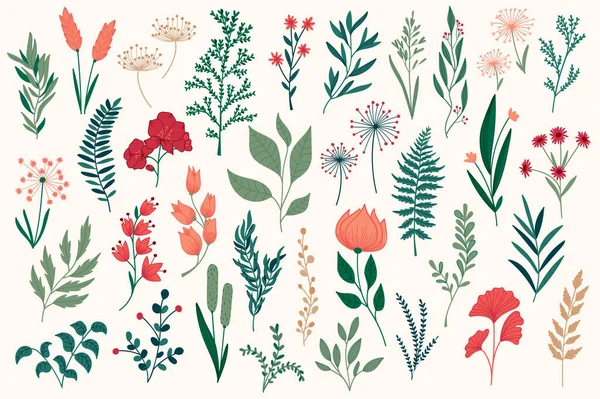 Bündel Von Handgezeichneten Floralen Dekorativen Elementen Botanische Cliparts Farbenfrohe Florale — Stockvektor
