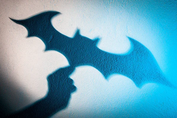 Holiday Halloween. Bat. Shadow on the wall. Decoration for the holiday of Halloween. ghost.