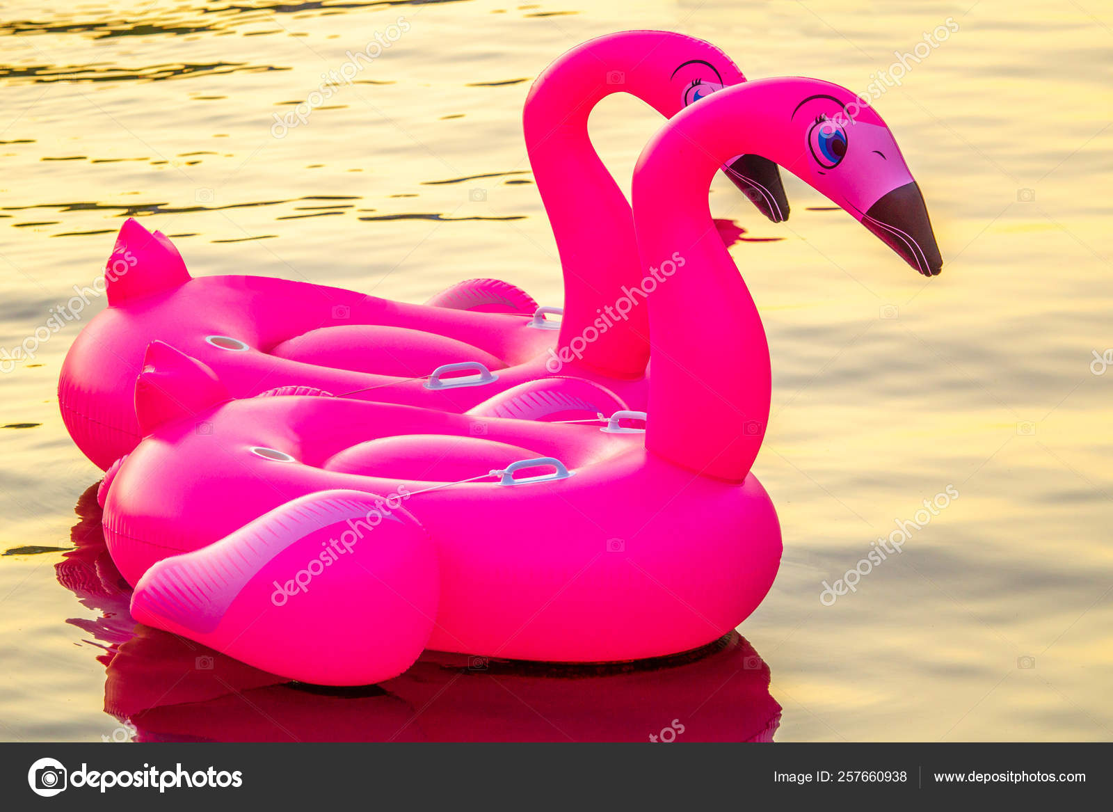 flamingo water toy