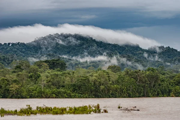 Amazon. Ecuador. Forests near the Amazon River. Jungle. Fog over the woods. Travel around Ecuador.
