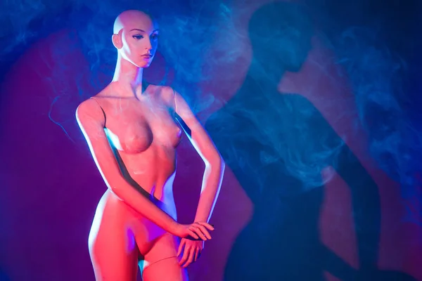 Figure of a dummy for clothes. The naked woman. A plastic woman. Mannequin with shadow. The nude figure of a girl.  Plastic mannequin.