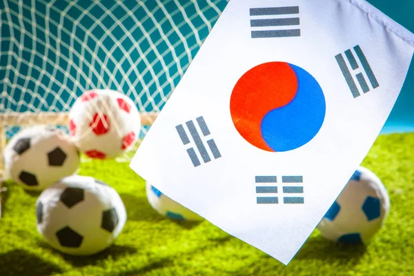 Football team of Korea. Flag of Korea with a soccer ball. Football championship. the flag of the Republic of Korea at the stadium. Team on football.