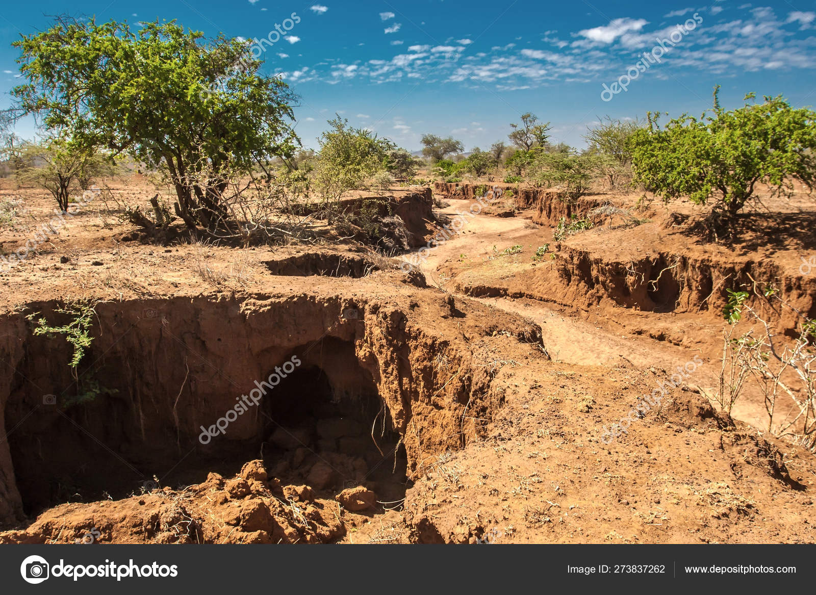 Dry bed in Africa. Drought. The nature Africa. The dried up river. Travel to Kenya. Stock Photo by ©GrinPhoto 273837262