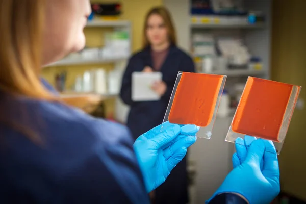 Laboratory for product quality control. The girl compares two samples. The chemical composition is applied to the glass. Test of finished products of chemical substances.