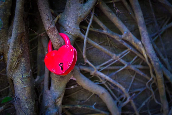 Castle in the form of a heart. A padlock hangs on the roots of a tree. A symbol of love.