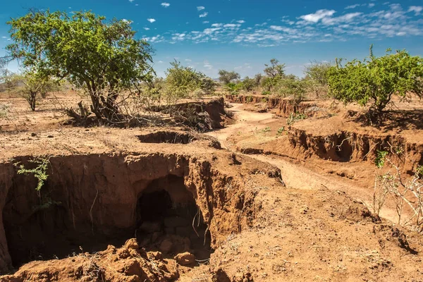 Dry river bed in Africa. Drought. The nature of Africa. The dried up river. Kenya. Travel to Kenya.