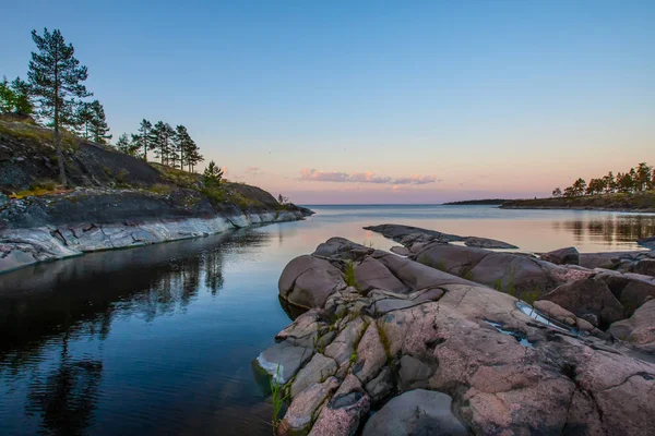 Sunrise. A lonely tree on the shore. Karelia. Russia. Ladoga lake. Morning in Karelia on the shore of the Ladoga lake. Northern nature. — Stock Image Sunrise. A lonely tree on the shore. Karelia. Russia. Ladoga lake. Morning in Karelia on the shore of the Ladoga lake. Northern nature. Stock Picture