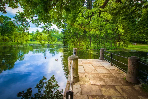 The pier on the lake. Overgrown garden with a lake. Pier.