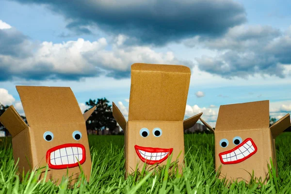 Emodji. Emotions. Cardboard boxes with faces in nature. Biodegradable packaging. Open gift boxes on the green grass. Liked and disliked gifts. Gifts worried for their content.